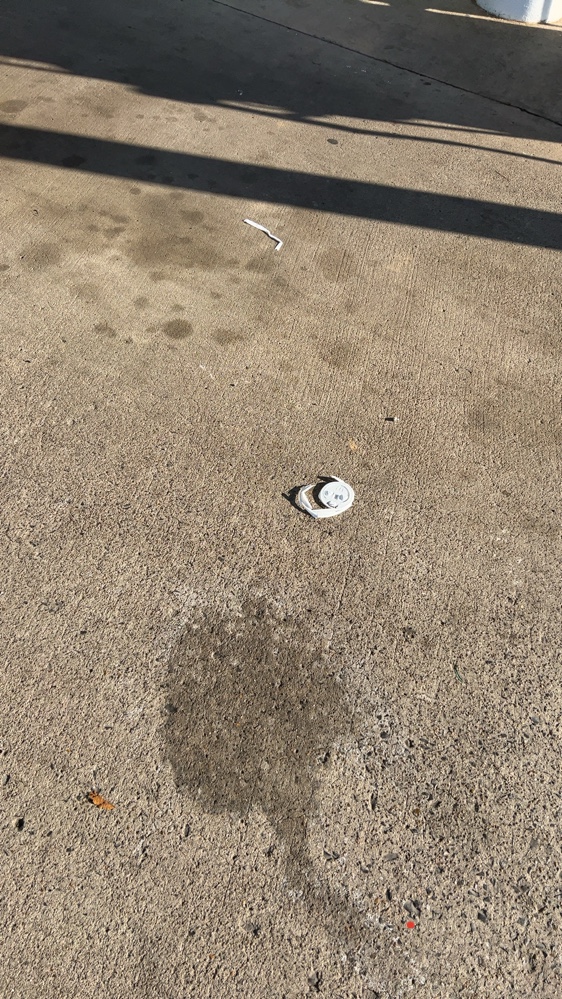 Site Review 9.28.21 Zenput